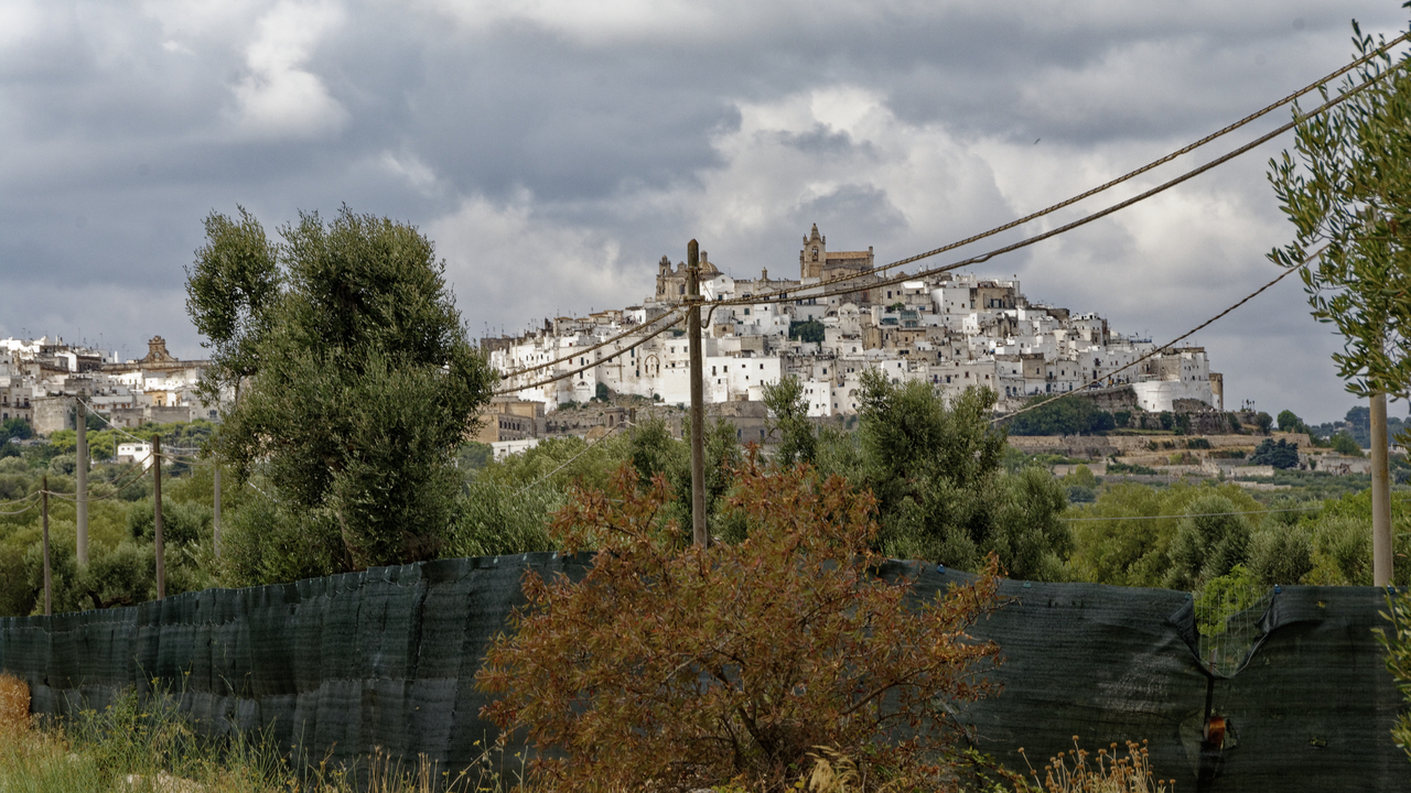 20160823 120329•Ostuni•Apulia•Italy